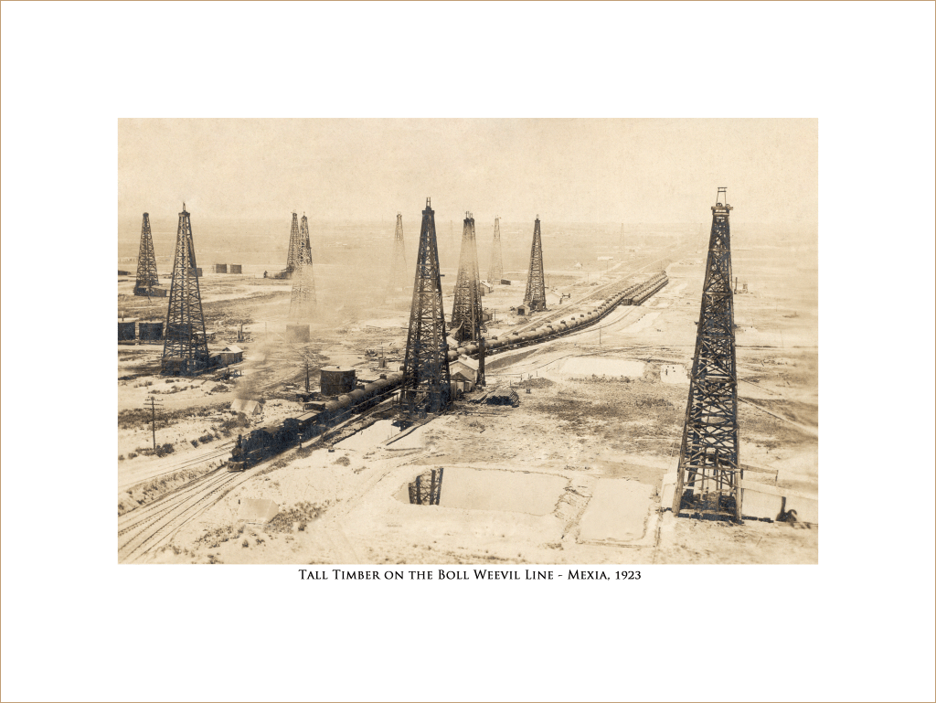 Tall Timber on the Boll Weevil Line - Mexia, 1923 - Copano Bay Press