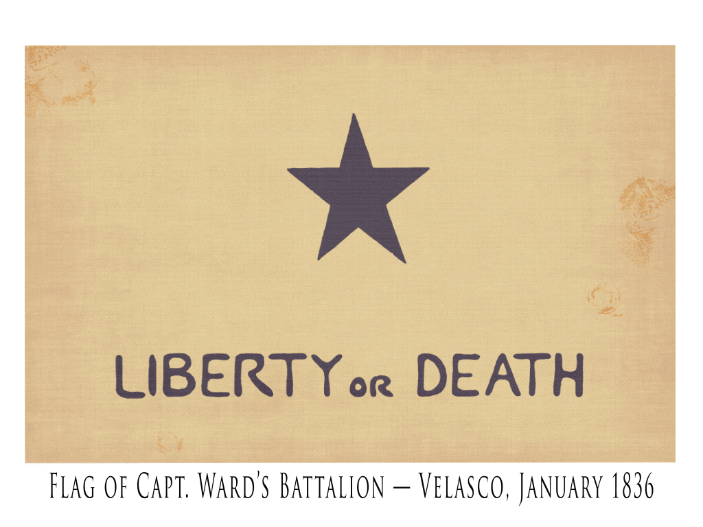 Ward's Battalion Lone Star Flag - 1836 - Copano Bay Press