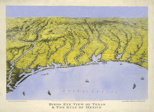 Bird's-Eye View of Texas - 1861