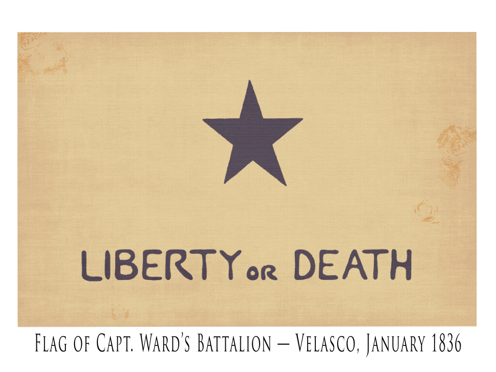 Ward's Battalion Lone Star Flag - 1836